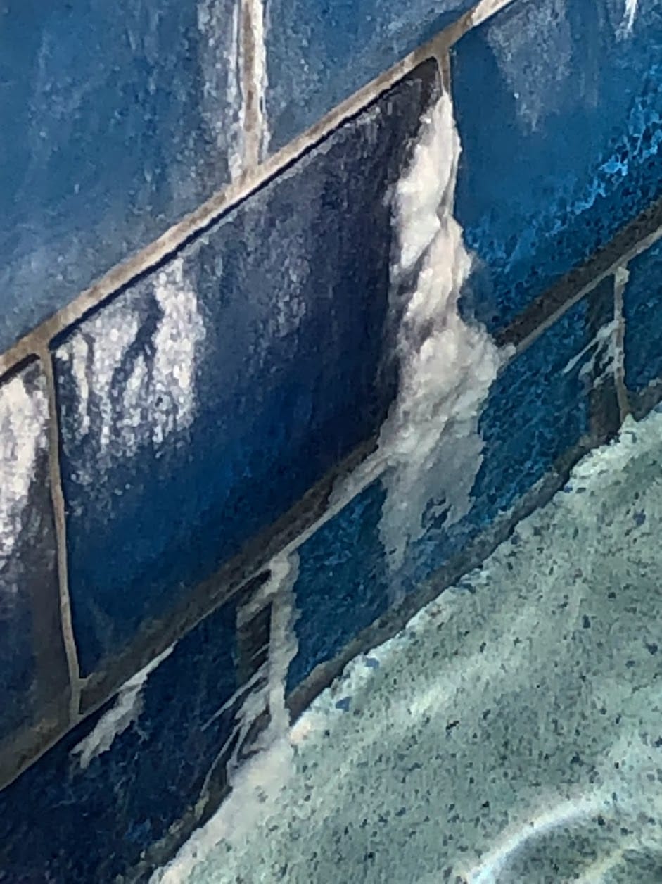 pool book Eflourescence 2024